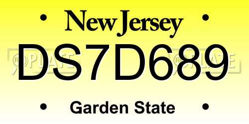 DS7D689 New Jersey License Plate