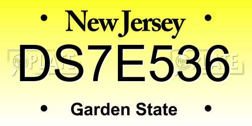 DS7E536 New Jersey License Plate