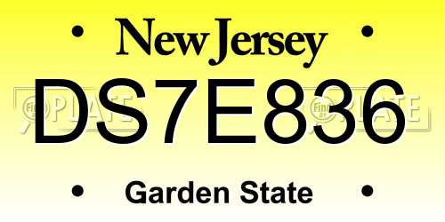 DS7E836 New Jersey License Plate