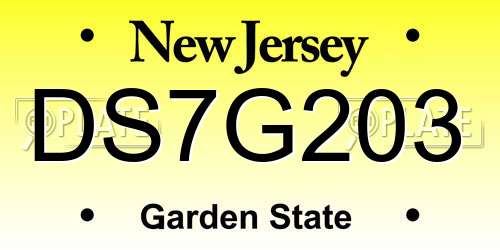 DS7G203 New Jersey License Plate