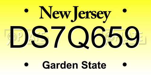 DS7Q659 New Jersey License Plate