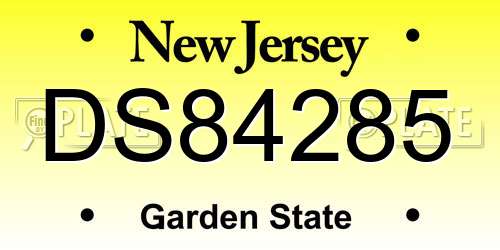 DS84285 New Jersey License Plate