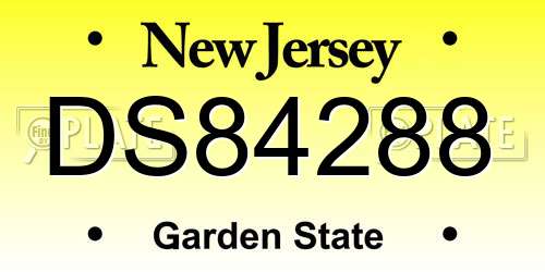DS84288 New Jersey License Plate