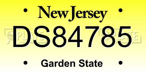 DS84785 New Jersey License Plate