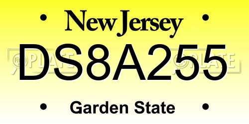 DS8A255 New Jersey License Plate