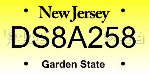 DS8A258 New Jersey License Plate