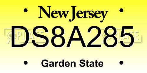 DS8A285 New Jersey License Plate