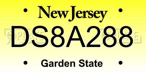 DS8A288 New Jersey License Plate