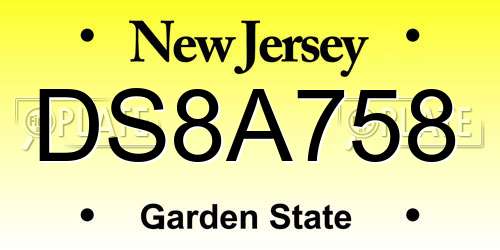 DS8A758 New Jersey License Plate