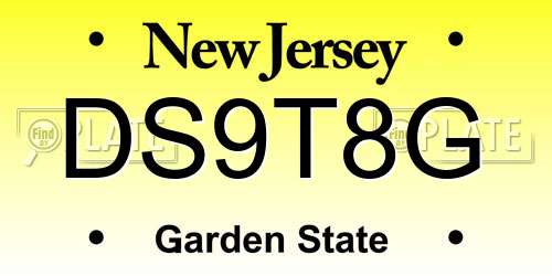 DS9T8G New Jersey License Plate