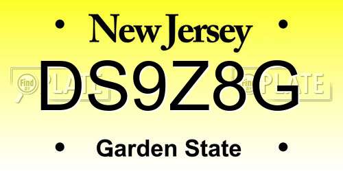 DS9Z8G New Jersey License Plate