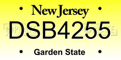 DSB4255 New Jersey License Plate