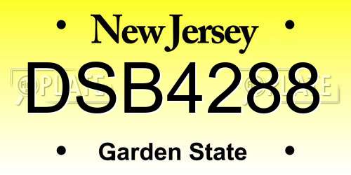 DSB4288 New Jersey License Plate