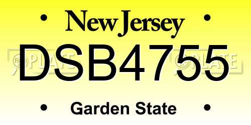 DSB4755 New Jersey License Plate