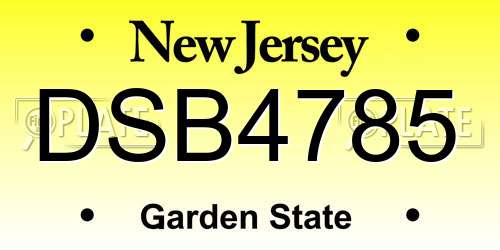 DSB4785 New Jersey License Plate