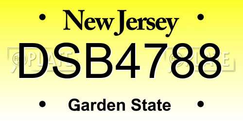 DSB4788 New Jersey License Plate