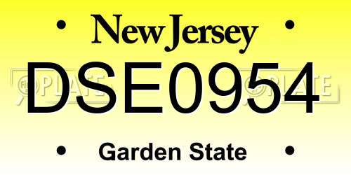 DSE0954 New Jersey License Plate