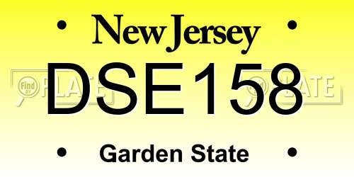DSE158 New Jersey License Plate