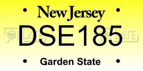 DSE185 New Jersey License Plate