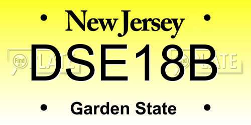 DSE18B New Jersey License Plate