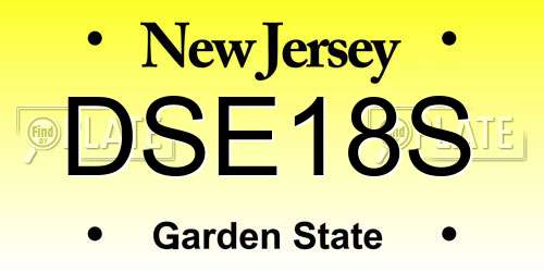 DSE18S New Jersey License Plate