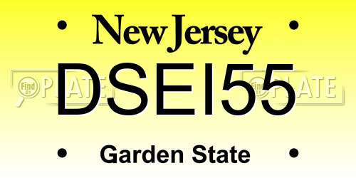 DSEI55 New Jersey License Plate