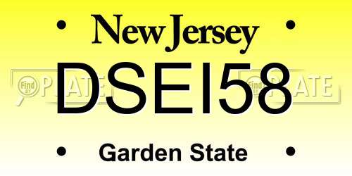 DSEI58 New Jersey License Plate