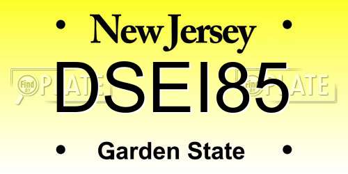 DSEI85 New Jersey License Plate