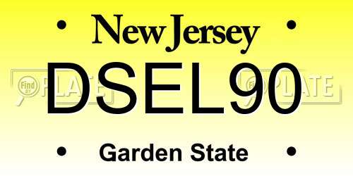 DSEL90 New Jersey License Plate