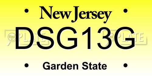 DSG13G New Jersey License Plate
