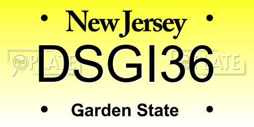 DSGI36 New Jersey License Plate