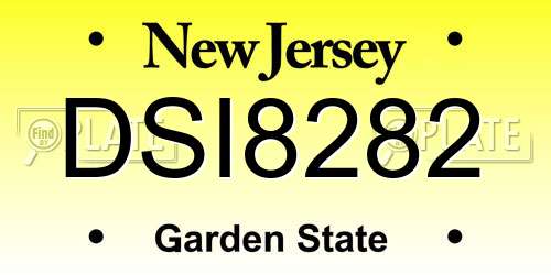 DSI8282 New Jersey License Plate