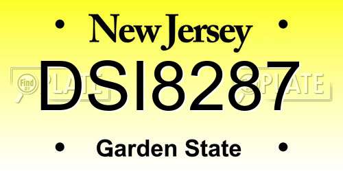 DSI8287 New Jersey License Plate