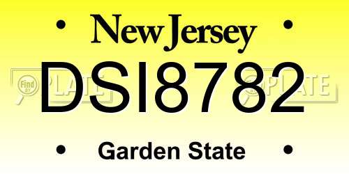 DSI8782 New Jersey License Plate