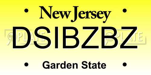 DSIBZBZ New Jersey License Plate