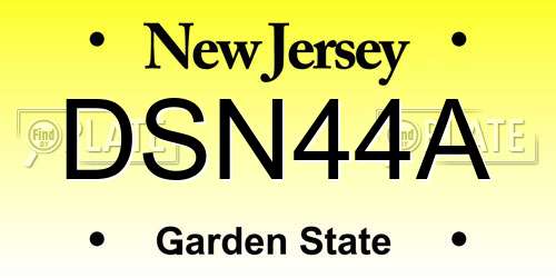 DSN44A New Jersey License Plate