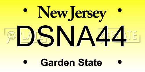 DSNA44 New Jersey License Plate