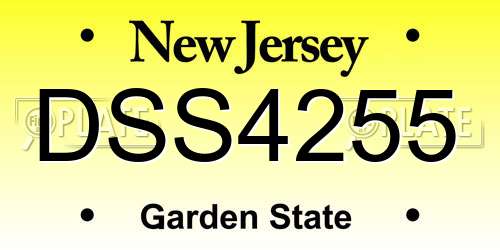 DSS4255 New Jersey License Plate