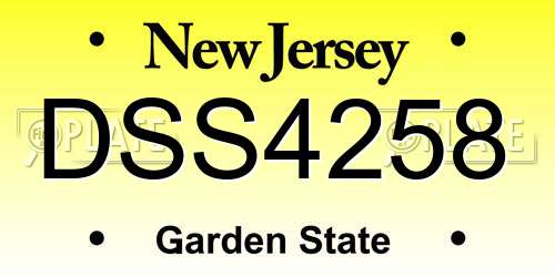 DSS4258 New Jersey License Plate