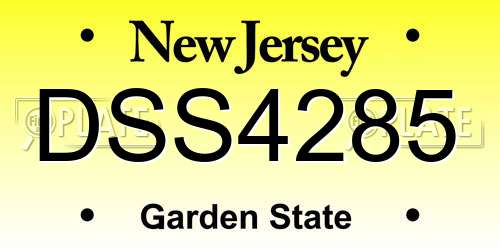 DSS4285 New Jersey License Plate