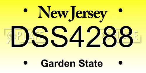 DSS4288 New Jersey License Plate