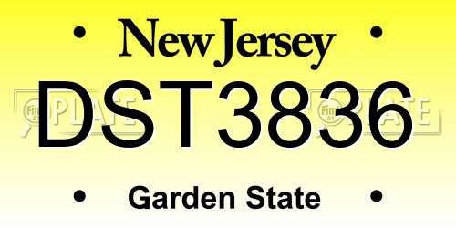 DST3836 New Jersey License Plate