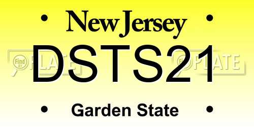 DSTS21 New Jersey License Plate