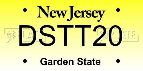 DSTT20 New Jersey License Plate