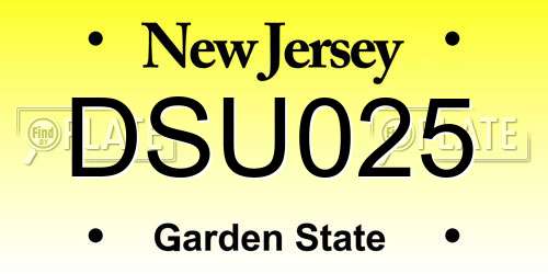 DSU025 New Jersey License Plate