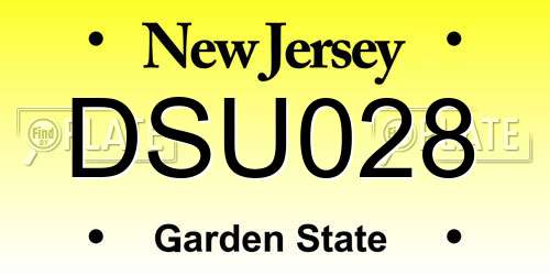 DSU028 New Jersey License Plate