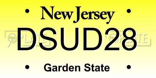 DSUD28 New Jersey License Plate