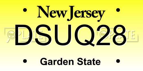 DSUQ28 New Jersey License Plate