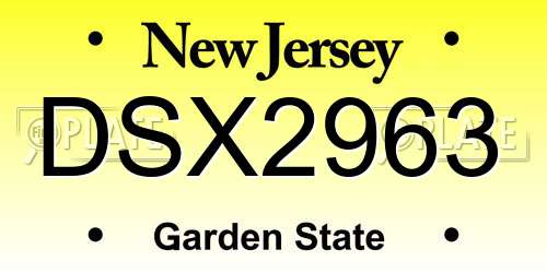 DSX2963 New Jersey License Plate
