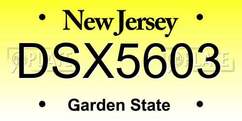 DSX5603 New Jersey License Plate